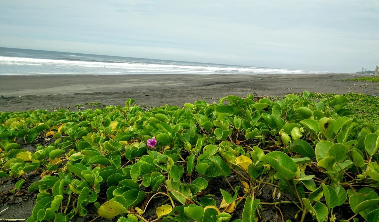Eco-Hotel Playa Quilombo Las Lisas Exterior foto